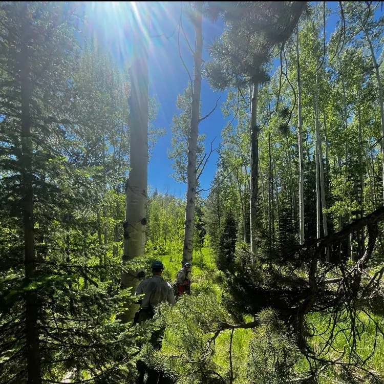 Land Management in Douglas County, CO