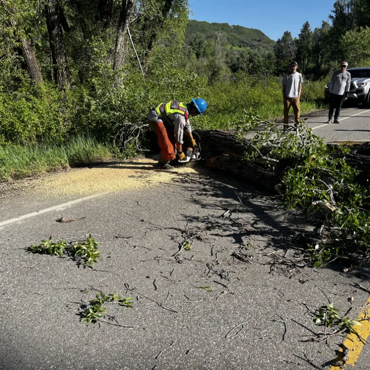 Land Management in Douglas County, CO