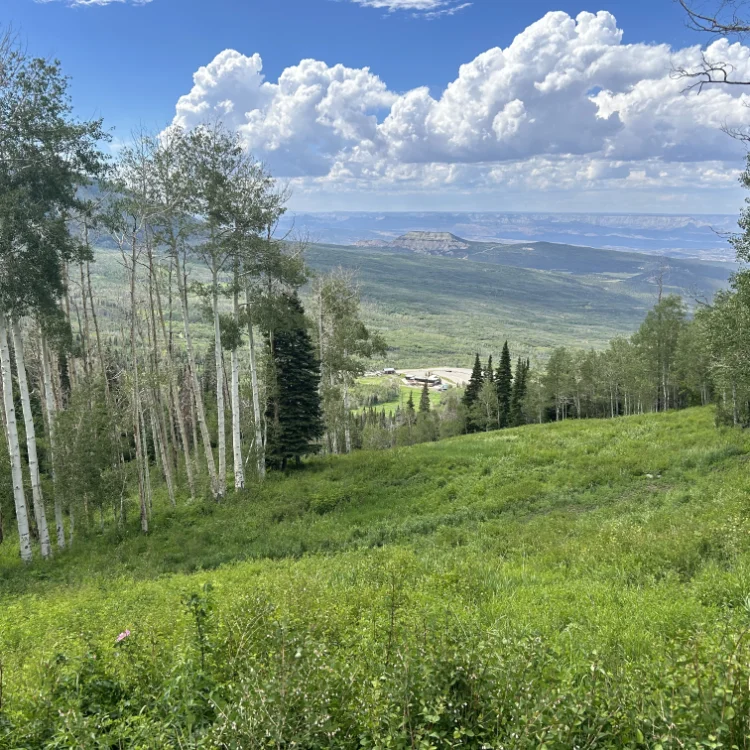 Land Management in Douglas County, CO