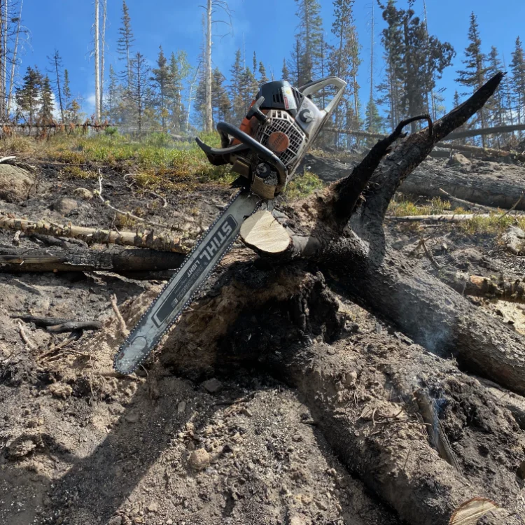 Land Management in Douglas County, CO