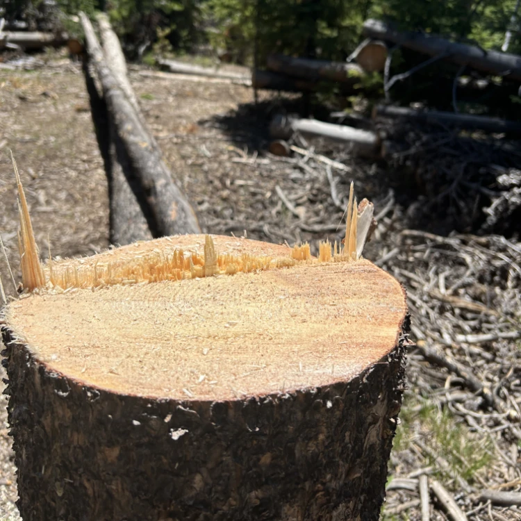 Land Management in Douglas County, CO