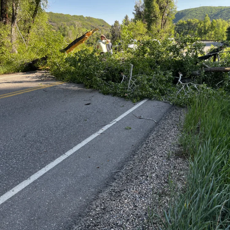 Land Management in Douglas County, CO