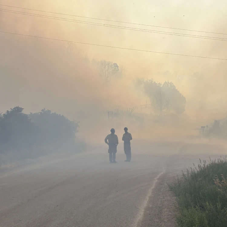 Land Management in Douglas County, CO