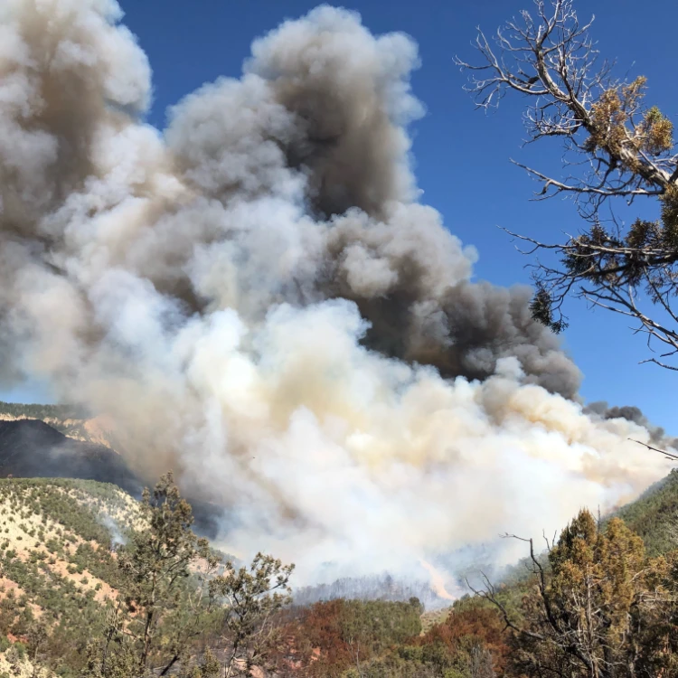 Land Management in Douglas County, CO